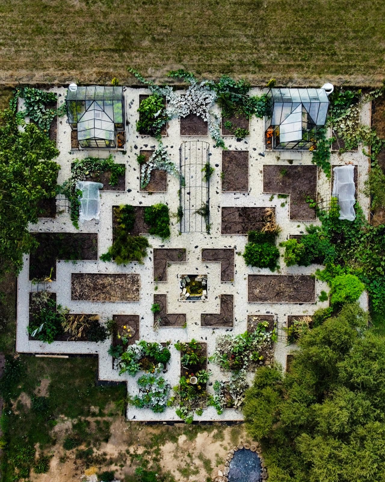 Your Year-Round Veggie Garden: A Monthly Planting Guide